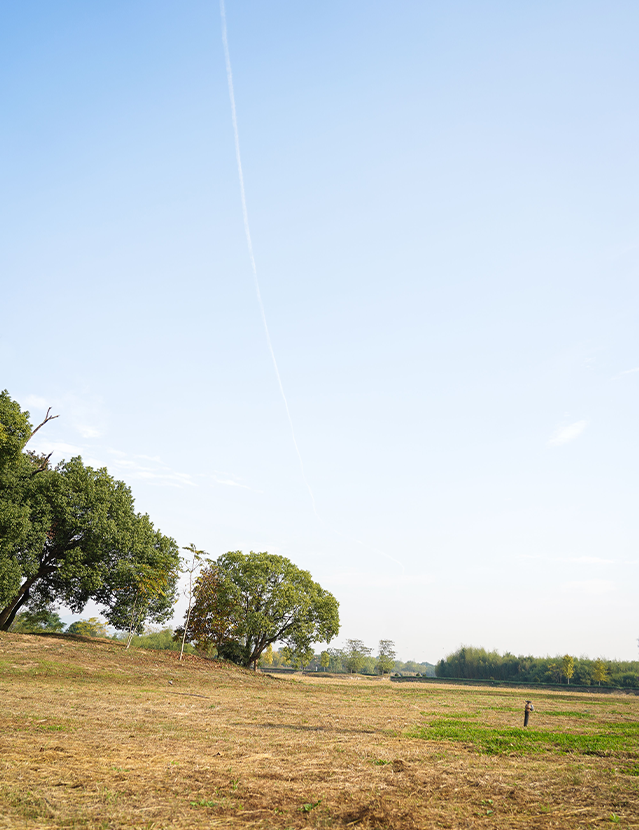 nathsri-developer-image