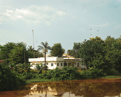 nathsri developer image